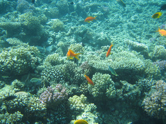 Similar image 135267