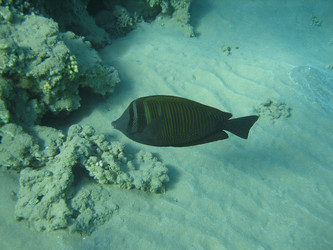 Similar image 135269