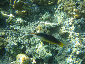 Similar image 135270