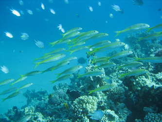 Similar image 135281