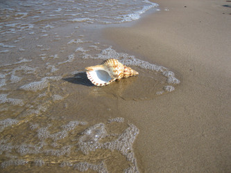 Similar image 135282