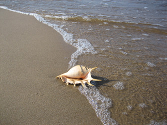 Similar image 135283