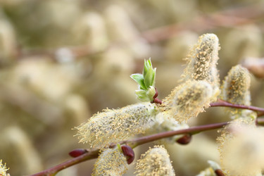 Similar image 135309