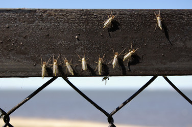 Similar image 135315