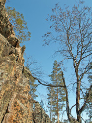 Similar image 135320