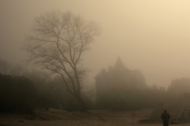 Similar image 135334