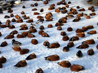 Similar image 135341