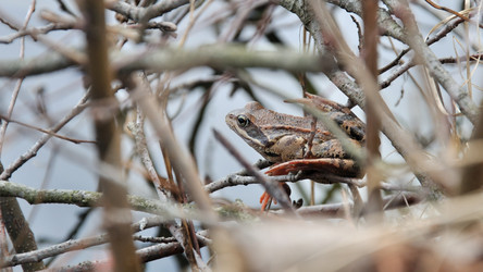 Similar image 135359