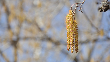 Similar image 135361