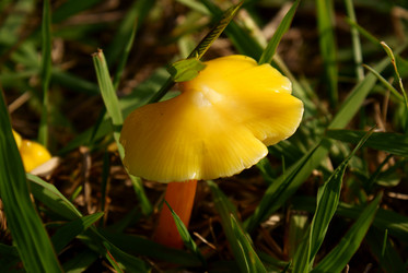 Similar image 135368