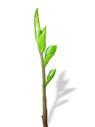 Similar image 135420