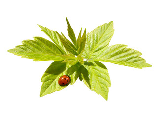 Similar image 135422