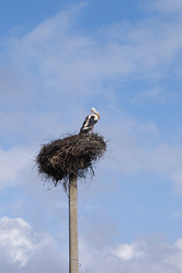 Similar image 135426