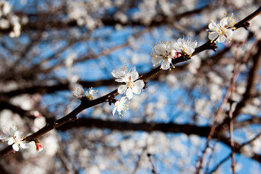 Similar image 135473