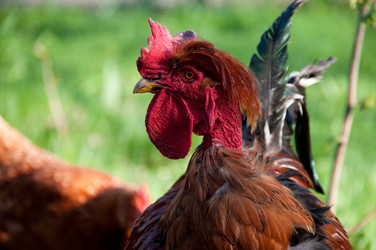 Similar image 135487