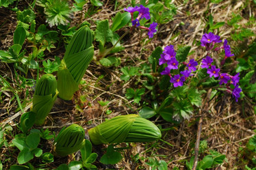 Similar image 135495