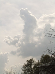 Similar image 135499