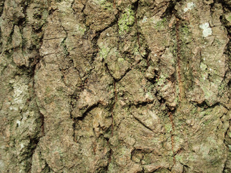 Similar image 135505