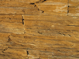 Similar image 135525