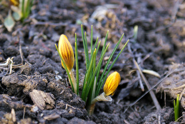 Similar image 135551