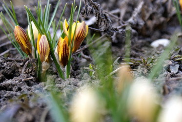 Similar image 135552