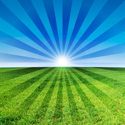 Similar image 135570