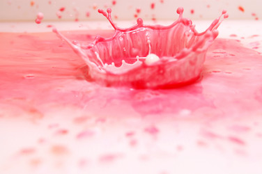 Similar image 135572