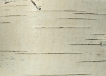 Similar image 135573