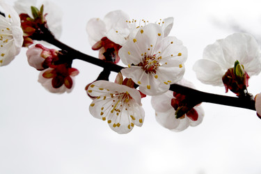 Similar image 135627