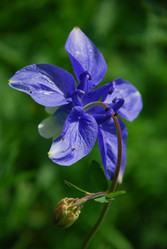 Similar image 135640