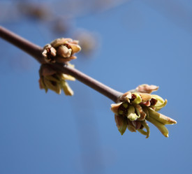 Similar image 135646