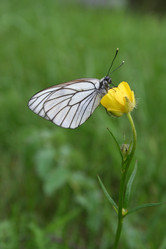 Similar image 135649