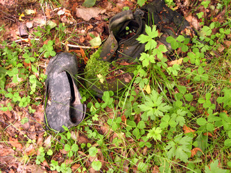 Similar image 135654