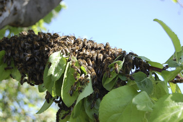 Similar image 135674