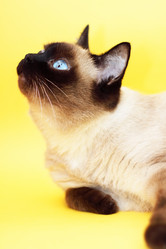 Similar image 135743