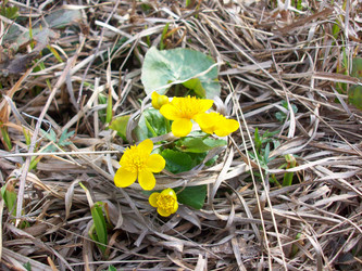 Similar image 135751