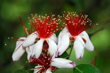 Similar image 135808