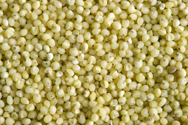 Similar image 135813