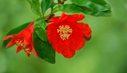 Similar image 135816