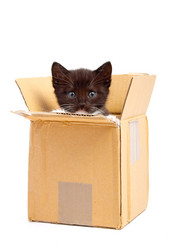 Similar image 135831