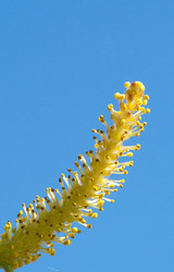 Similar image 135834