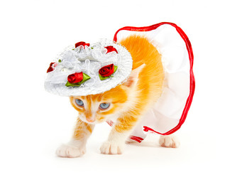 Similar image 135837