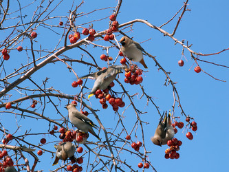 Similar image 135853