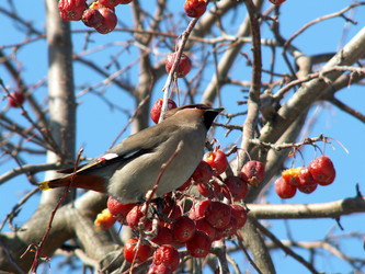 Similar image 135865