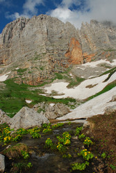 Similar image 135900