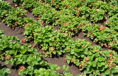 Similar image 135904