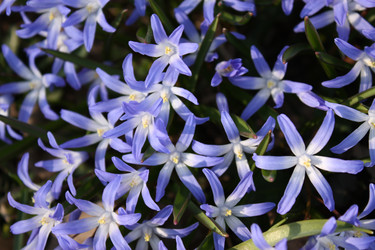 Similar image 135942