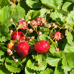 Similar image 135943