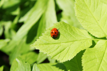 Similar image 135945