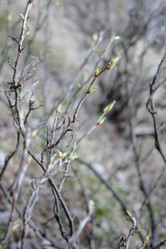 Similar image 135950